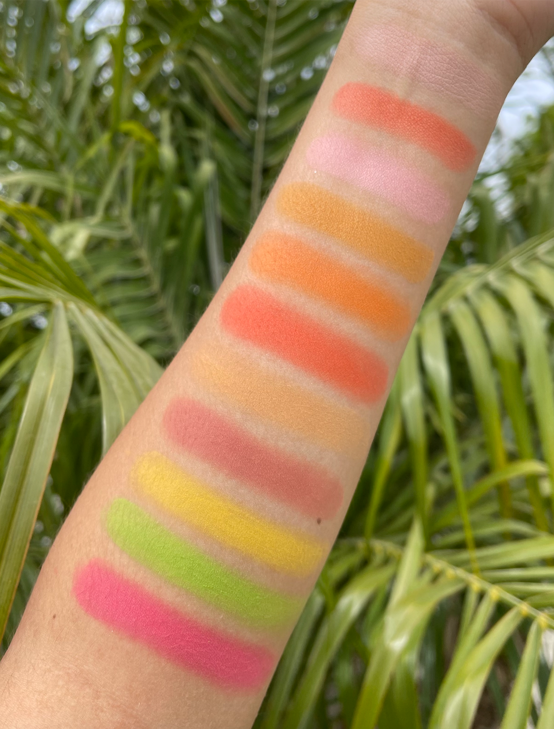 Bonita Eyeshadow Palette